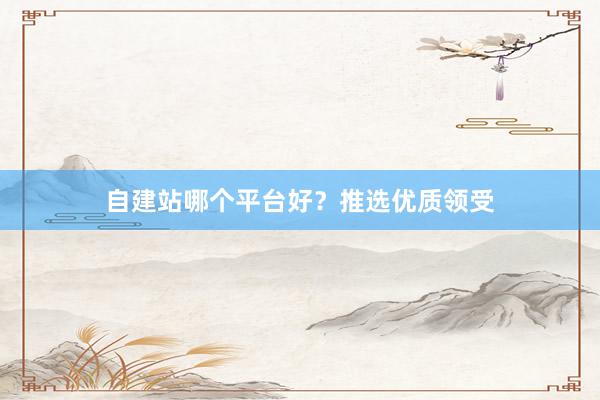 自建站哪个平台好？推选优质领受